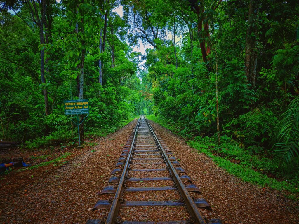 national park of lawachara