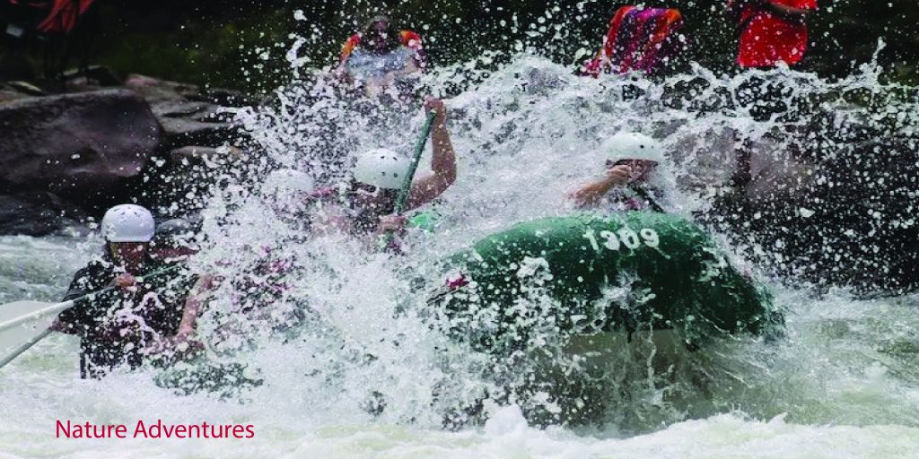 White Water Rafting in 2026